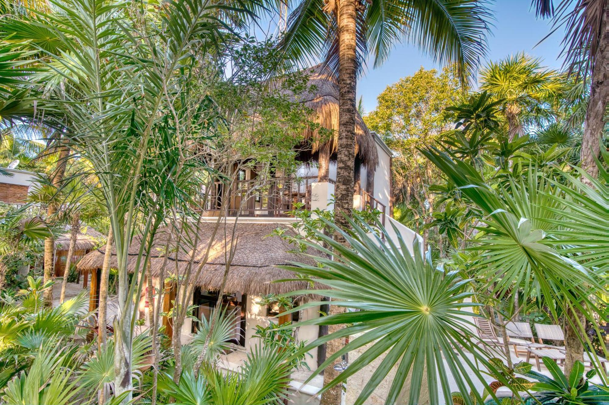 Tulum Luxury Collection Hotel Phòng bức ảnh